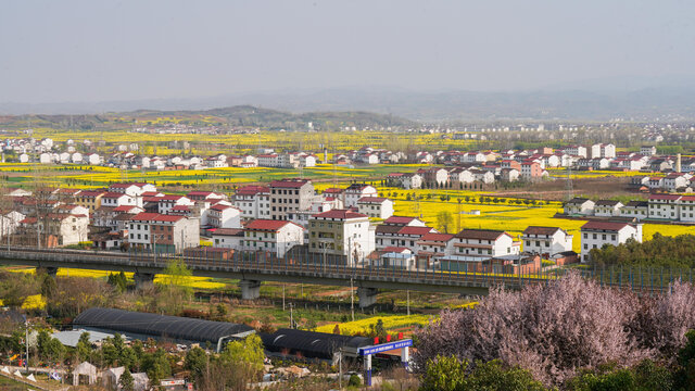 航拍汉中市洋县油菜花田