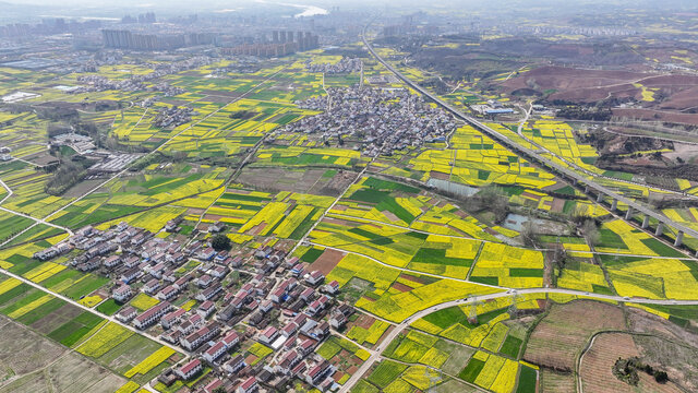 航拍汉中市洋县油菜花田