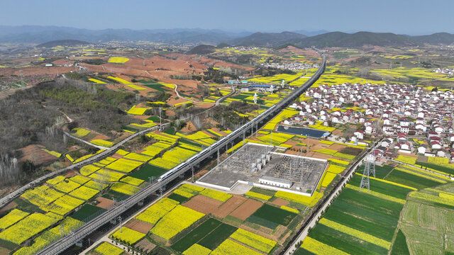 航拍汉中市洋县油菜花田