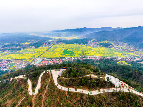 湖南省衡阳县油菜花竞相争放