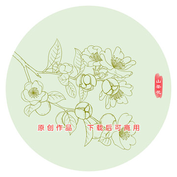 山茶花線稿
