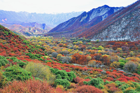 西宁海东扎哈公路秋色秋景