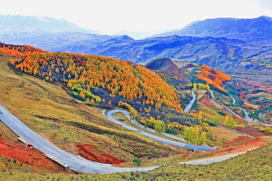 西宁海东扎哈公路秋色秋景