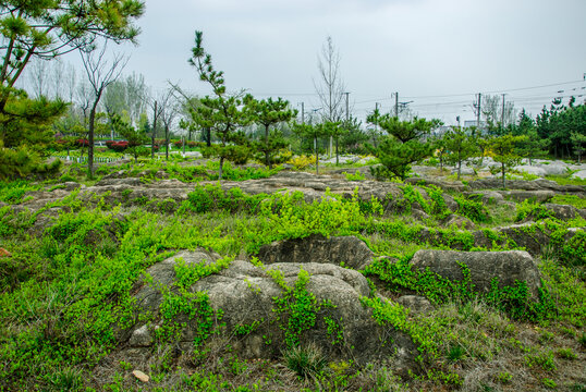 石海公园地表石头