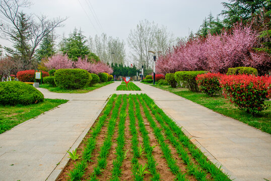 公园风景