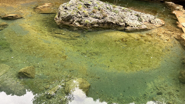 绿色湖水清澈