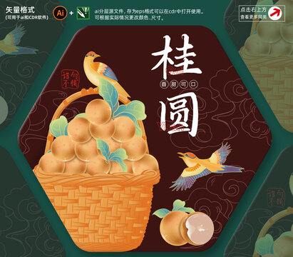 桂圓包裝插畫
