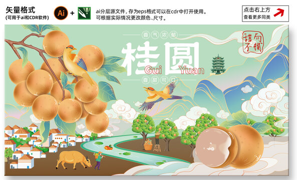 龍眼包裝插畫
