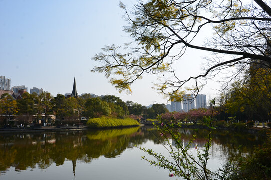 湖中美景