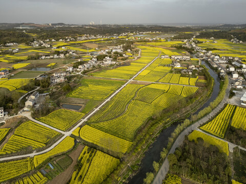 油菜花航拍