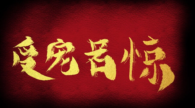 受寵若驚