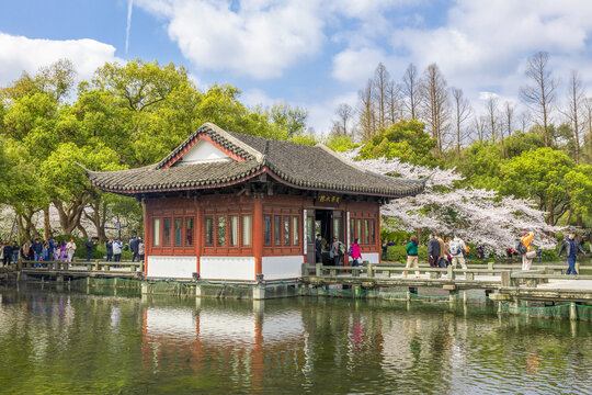 古建旁的樱花