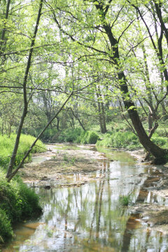 乡村溪流