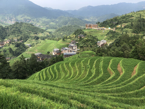 龙脊梯田