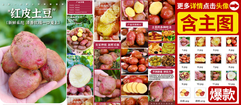 紅皮土豆詳情
