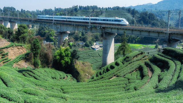 茶山风光