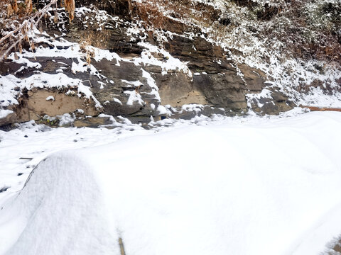 雪景