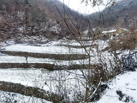 雪景