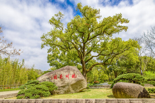 杭州花圃