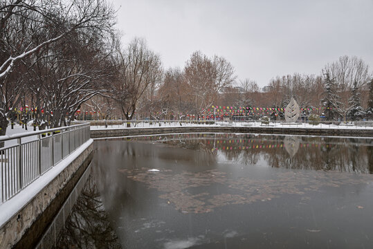 石家庄丁香公园雪景