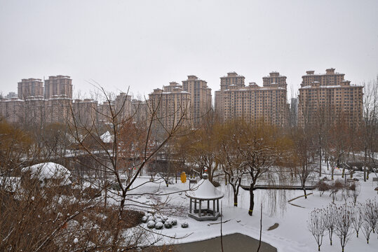 石家庄绿洲公园雪景