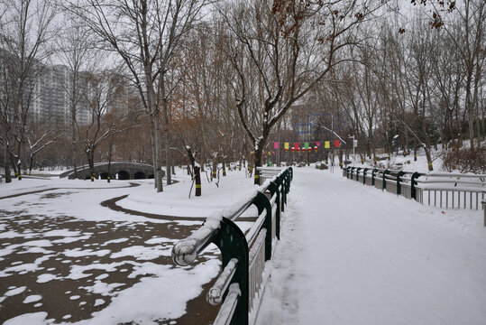 石家庄绿洲公园雪景