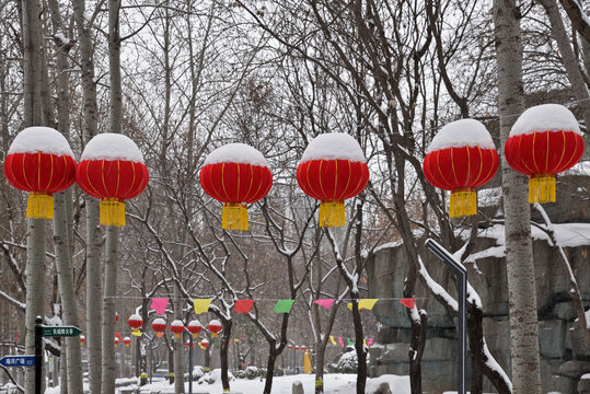 石家庄绿洲公园雪景