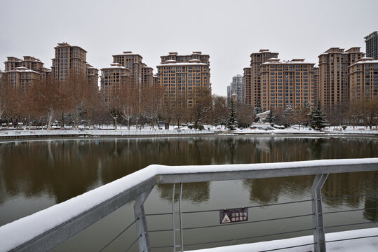 石家庄东环公园雪景