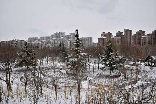 河北省石家庄市东环公园雪景