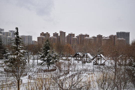 河北省石家庄市东环公园雪景