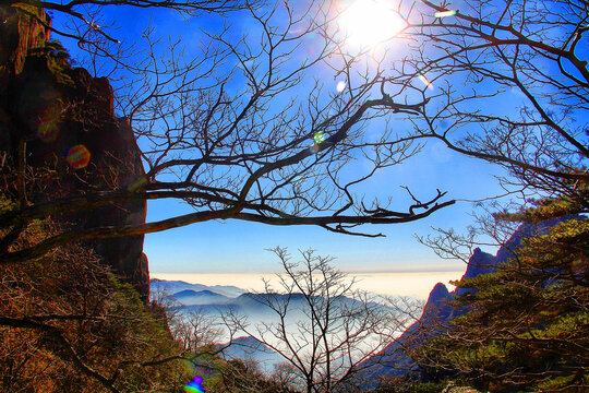 黃山云海
