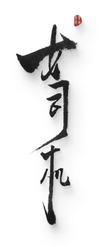 女司機(jī)