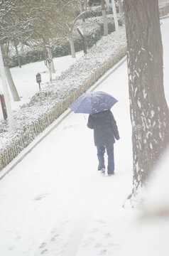 雪中行人