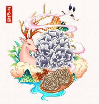 干巴菌插画手绘