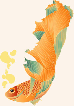 金色錦鯉插畫素材