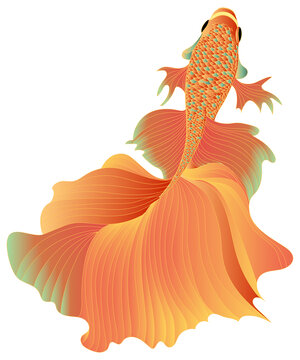 國(guó)潮插畫(huà)錦鯉