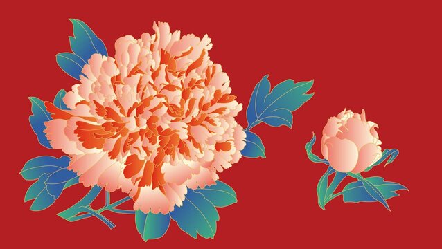 插畫(huà)牡丹花