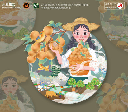 龍眼插畫