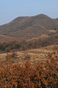 春季的铁岭象牙山