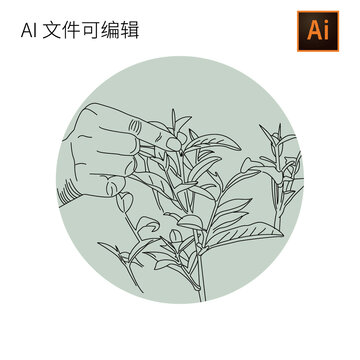 采茶葉線稿圖茶葉版畫
