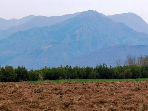 田野田园