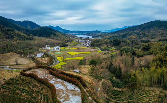 宏村协里