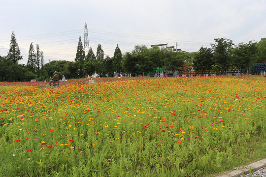 花园