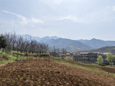 蓝田玉山