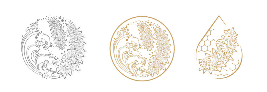 海參插畫
