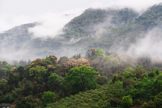 乡村风景