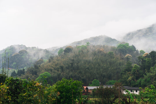 乡村风景