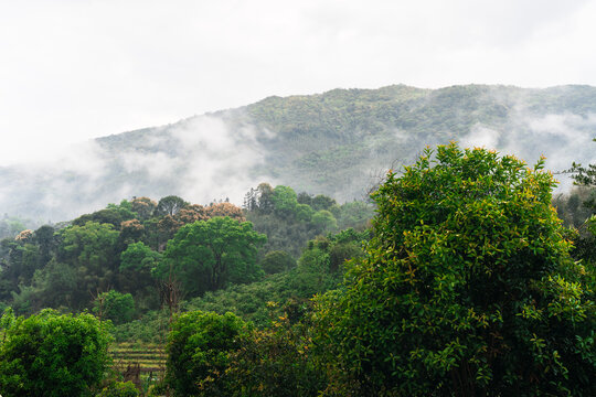 乡村风景