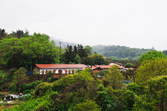 乡村风景