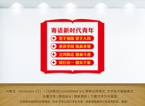 寄語青年黨建文化墻